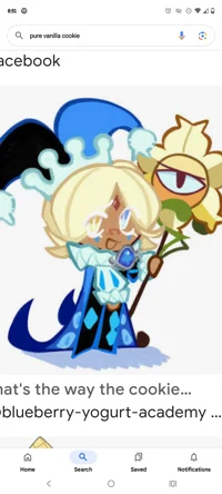 Pure Vanilla Cookie 
