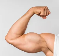 Muscular Arm