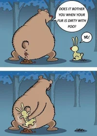Bear smelly 