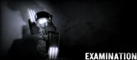 EXAMINATION - Roblox