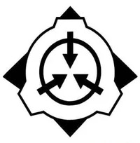 05 Council