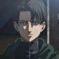 Levi Ackerman 