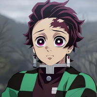 Tanjiro Cat