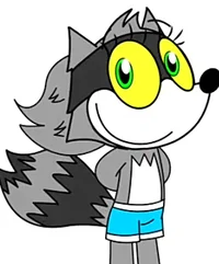 Rachel the raccoon 