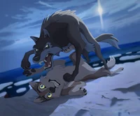 Balto RP