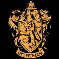 Gryffindor Boys 