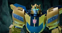 Bumblebee - TFE