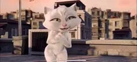Misscat