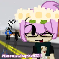 Microwavedcaprisun55