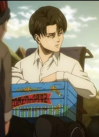 Levi Ackerman 