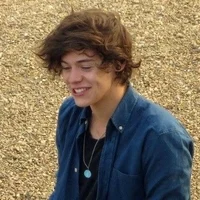 Harry Styles -school