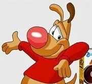 Chip the dog