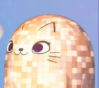 Playful Friend Kelly