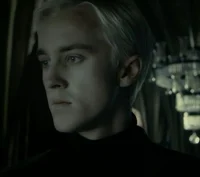 Draco L Malfoy