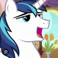 Shining Armor 