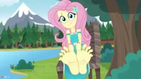 Fluttershy feet