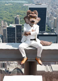 Mr Wolf - Costume
