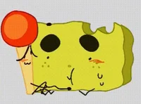 Match spongy 