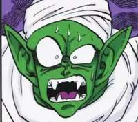 03-Piccolo IRL