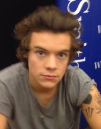 harry styles - uni