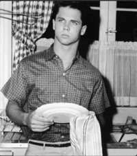 Wally Cleaver