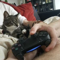 Gamer boyfriend 
