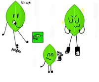 Leafy - BFB