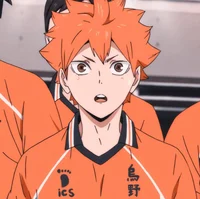 Shoyo Hinata 
