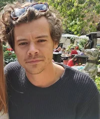 Harry Styles AU