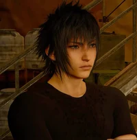 Noctis Lucis Caelum