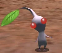 White Pikmin