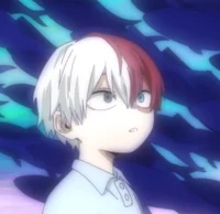 5 Shoto Todoroki