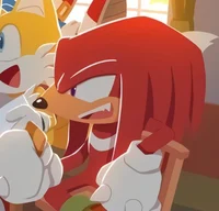 Knuckles Echidina
