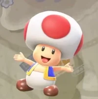 Toad -MKW-