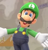 Luigi -MKW-