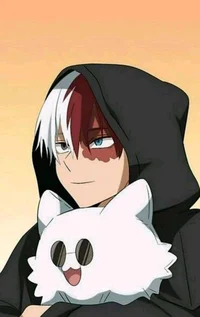 Shoto Todoroki 