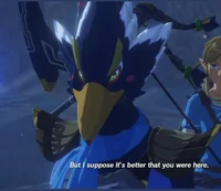 Revali 