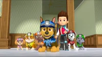 Paw patrol 