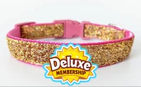 A gold deluxe collar