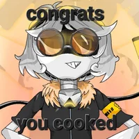 Serial Designation V