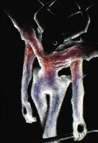 -THE ROARING KNIGHT-