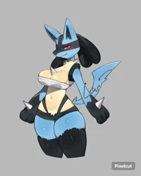 Lucario