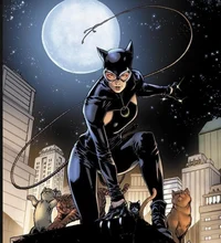 DC Selina Kyle 