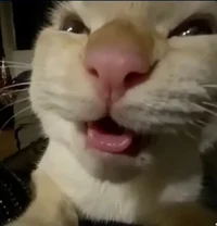 4 - 1 - REGRETEVATOR