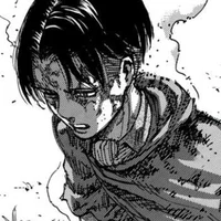 Captain Levi