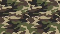 Camouflage
