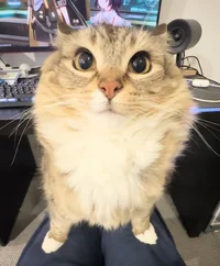 18 - 1 - ALAN BECKER