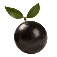 Jabuticaba
