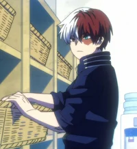Shoto Todoroki 