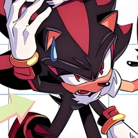 SHADOW T HEDGEHOG 